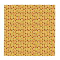 Scarf Wrap or Shawl